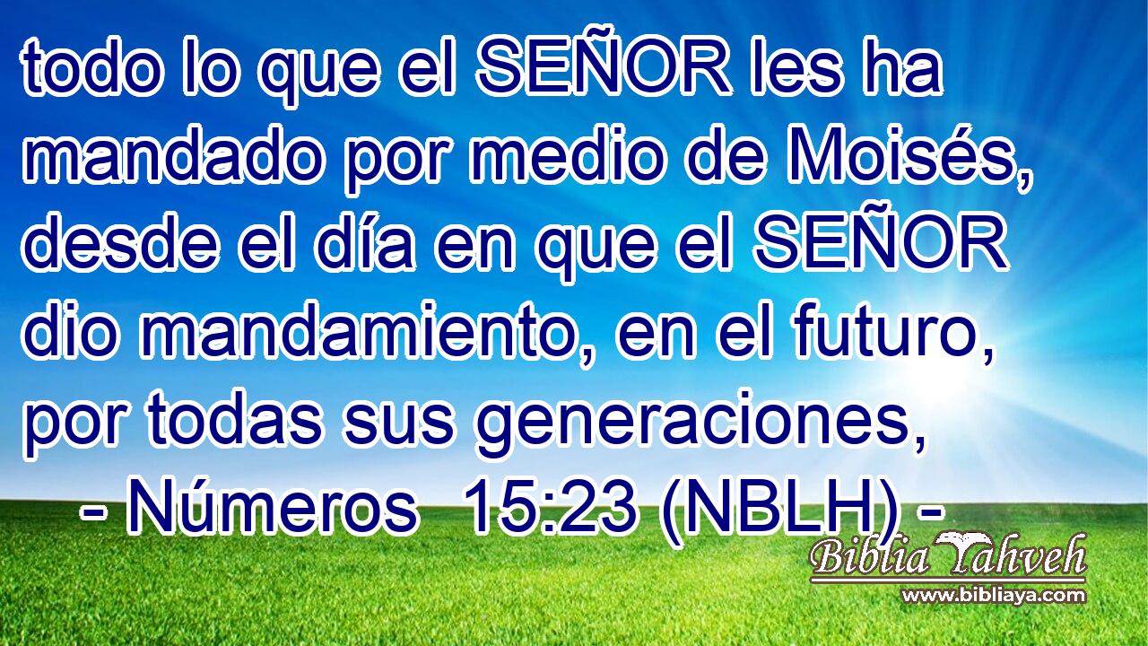  todo lo que el SEÑOR les ha mandado por medio de Moisés, desde el día en que el SEÑOR dio mandamiento, en el futuro, por todas sus generaciones, 