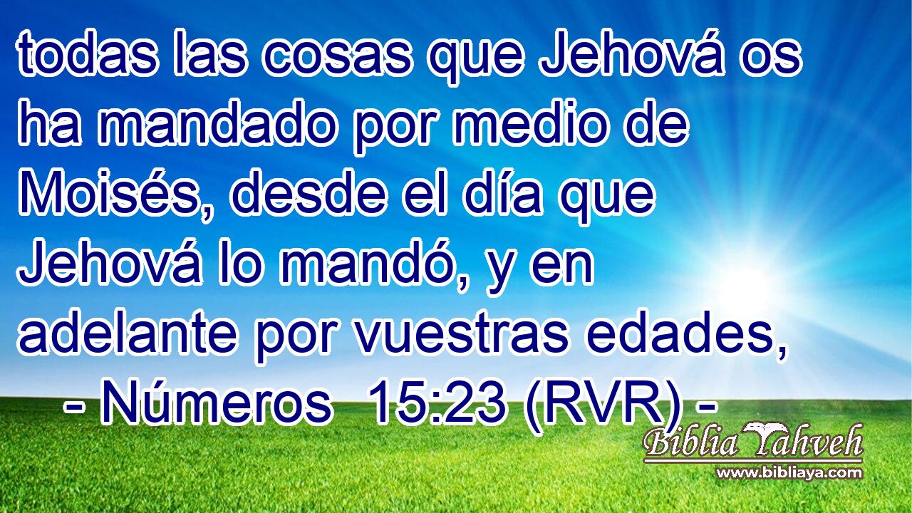 todas las cosas que Jehová os ha mandado por medio de Moisés, desde el día que Jehová lo mandó, y en adelante por vuestras edades,