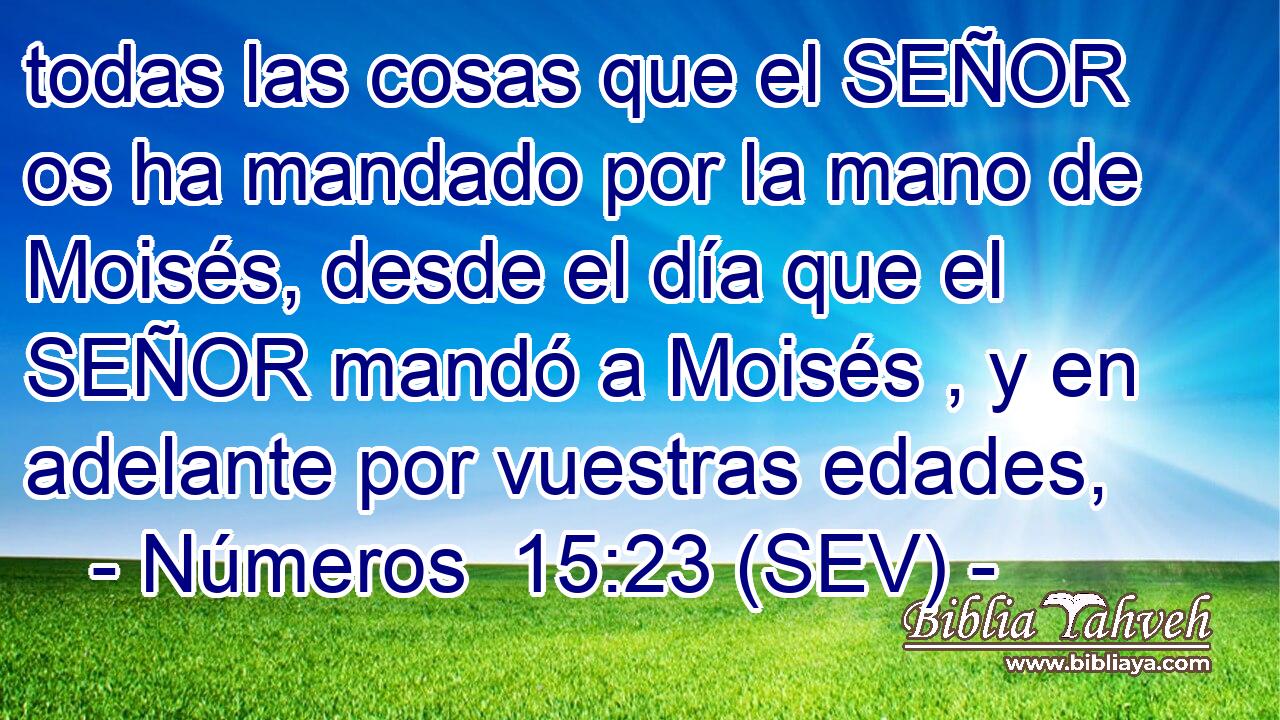 todas las cosas que el SEÑOR os ha mandado por la mano de Moisés, desde el día que el SEÑOR mandó a Moisés , y en adelante por vuestras edades,