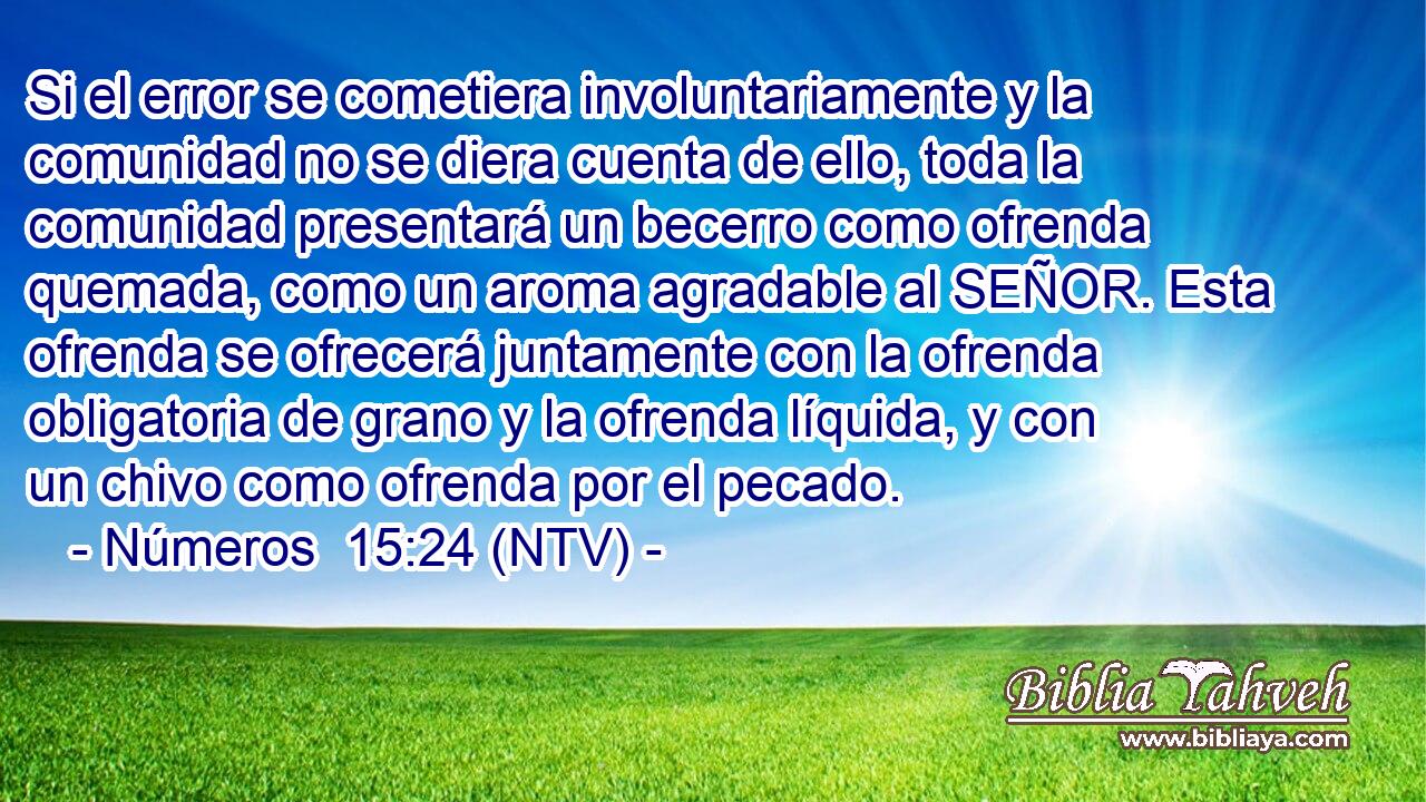 Si el error se cometiera involuntariamente y la comunidad no se diera cuenta de ello, toda la comunidad presentará un becerro como ofrenda quemada, como un aroma agradable al SEÑOR. Esta ofrenda se ofrecerá juntamente con la ofrenda obligatoria de grano y la ofrenda líquida, y con un chivo como ofrenda por el pecado.
