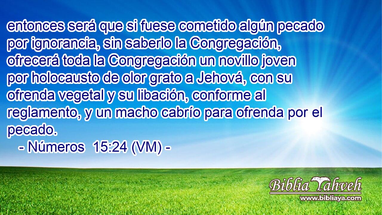  entonces será que si fuese cometido algún pecado por ignorancia, sin saberlo la Congregación, ofrecerá toda la Congregación un novillo joven por holocausto de olor grato a Jehová, con su ofrenda vegetal y su libación, conforme al reglamento, y un macho cabrío para ofrenda por el pecado. 