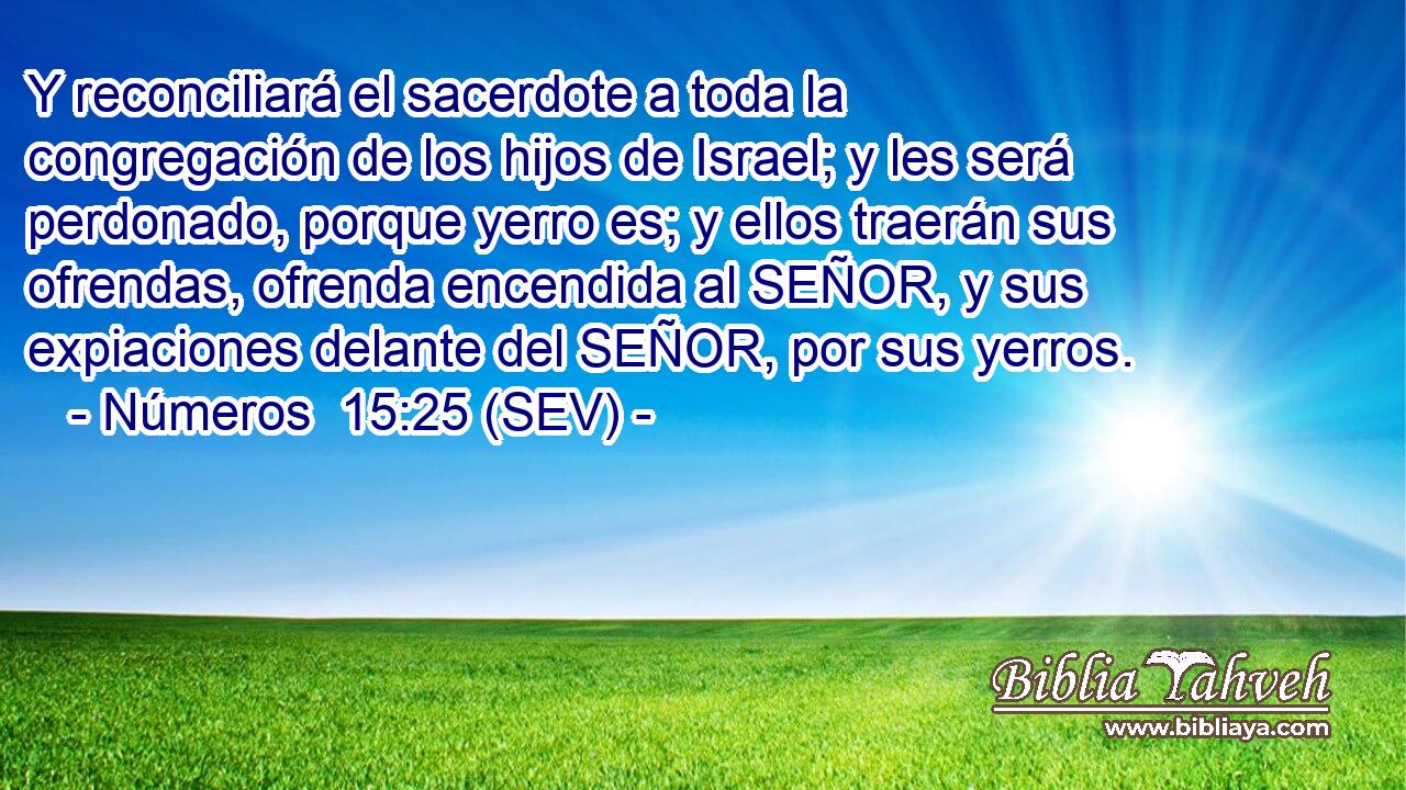 Y reconciliará el sacerdote a toda la congregación de los hijos de Israel; y les será perdonado, porque yerro es; y ellos traerán sus ofrendas, ofrenda encendida al SEÑOR, y sus expiaciones delante del SEÑOR, por sus yerros.