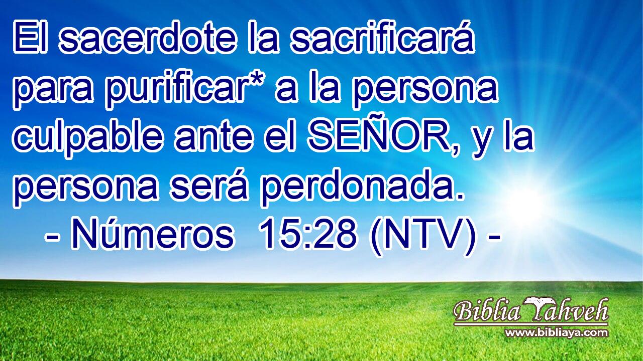 El sacerdote la sacrificará para purificar* a la persona culpable ante el SEÑOR, y la persona será perdonada.