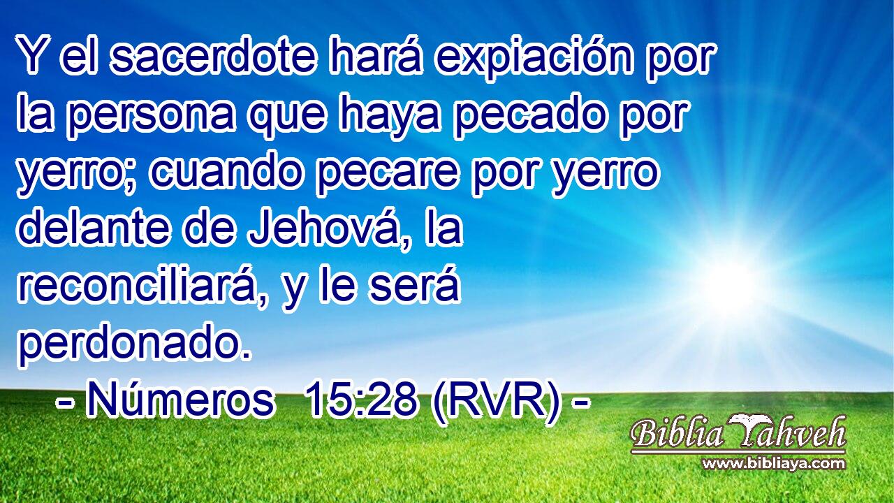 Y el sacerdote hará expiación por la persona que haya pecado por yerro; cuando pecare por yerro delante de Jehová, la reconciliará, y le será perdonado.