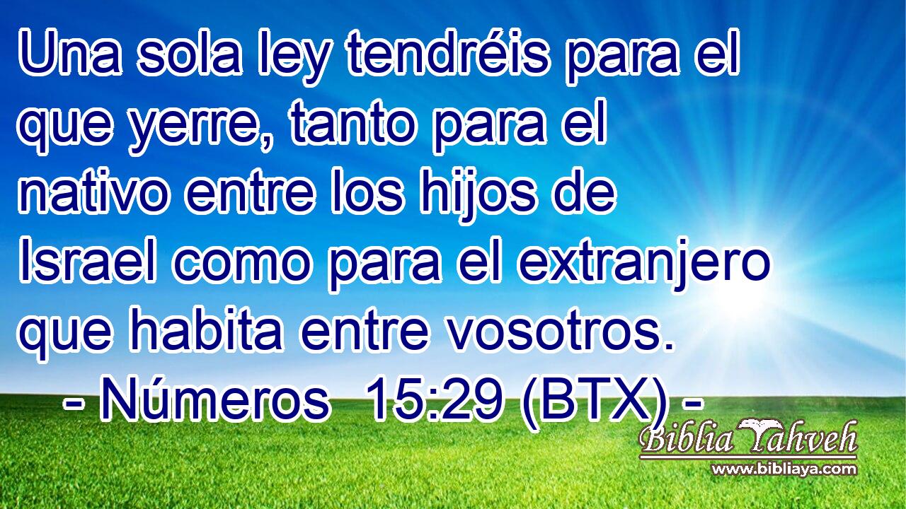 Una sola ley tendréis para el que yerre, tanto para el nativo entre los hijos de Israel como para el extranjero que habita entre vosotros.
