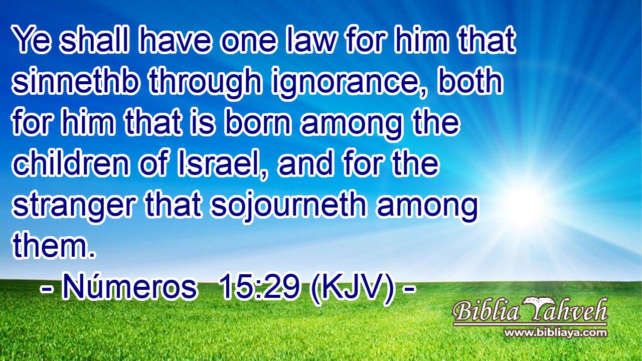 Ye shall have one law for him that sinnethb through ignorance, both for him that is born among the children of Israel, and for the stranger that sojourneth among them.