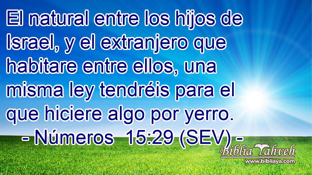 El natural entre los hijos de Israel, y el extranjero que habitare entre ellos, una misma ley tendréis para el que hiciere algo por yerro.