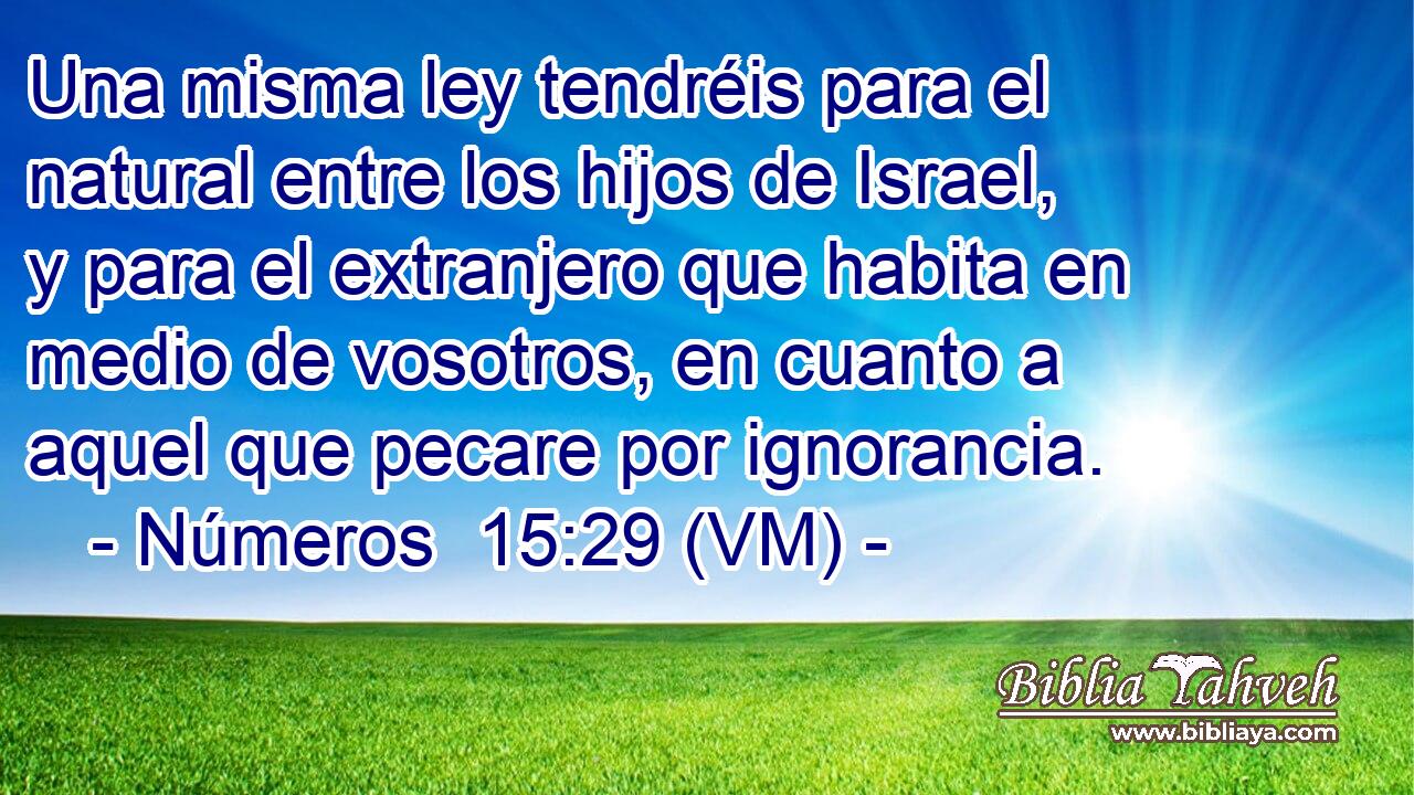  Una misma ley tendréis para el natural entre los hijos de Israel, y para el extranjero que habita en medio de vosotros, en cuanto a aquel que pecare por ignorancia. 