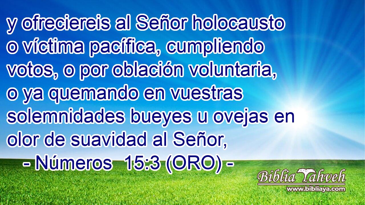  y ofreciereis al Señor holocausto o víctima pacífica, cumpliendo votos, o por oblación voluntaria, o ya quemando en vuestras solemnidades bueyes u ovejas en olor de suavidad al Señor, 