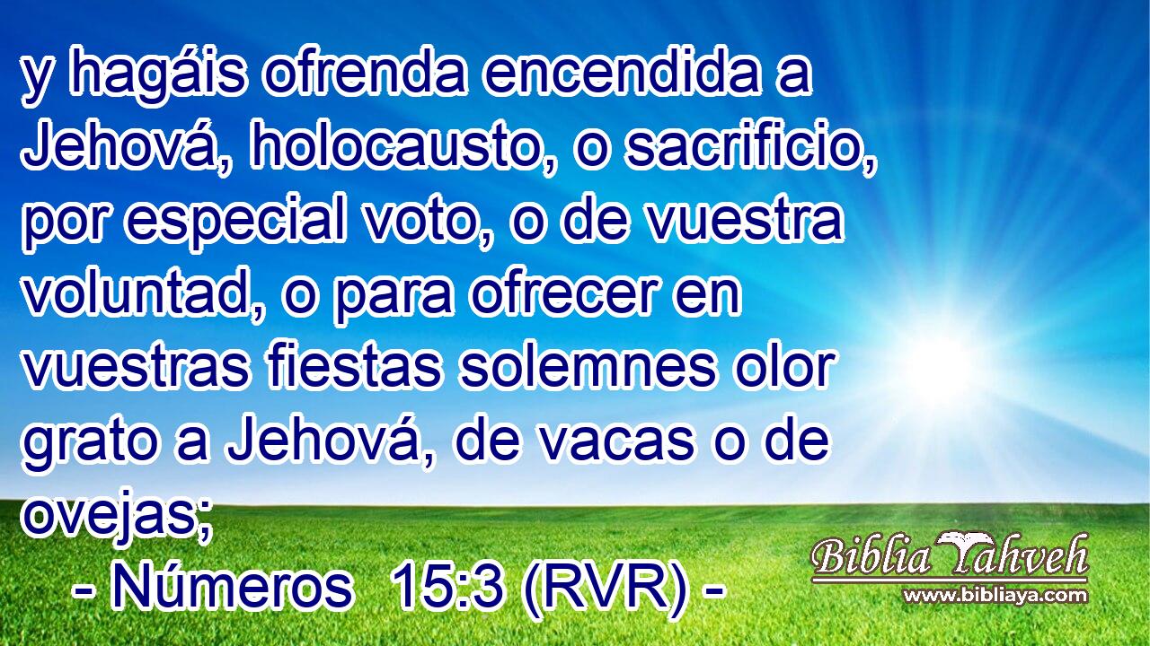 y hagáis ofrenda encendida a Jehová, holocausto, o sacrificio, por especial voto, o de vuestra voluntad, o para ofrecer en vuestras fiestas solemnes olor grato a Jehová, de vacas o de ovejas;