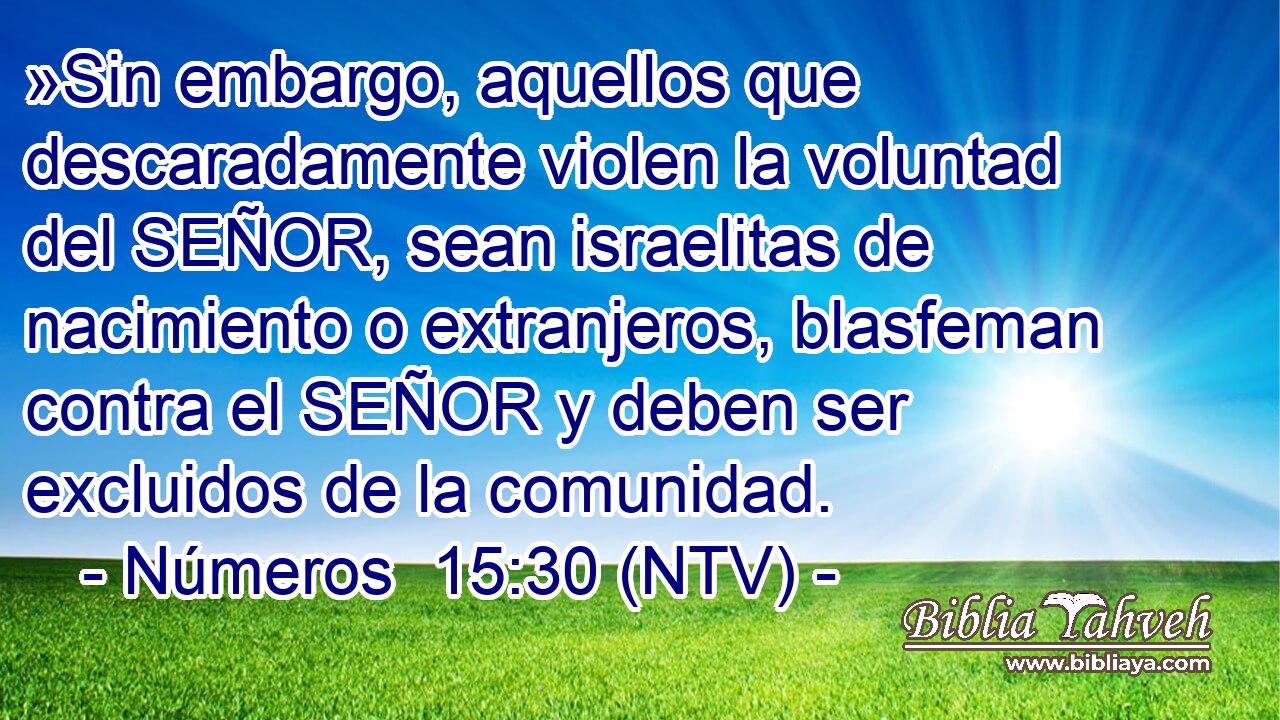 »Sin embargo, aquellos que descaradamente violen la voluntad del SEÑOR, sean israelitas de nacimiento o extranjeros, blasfeman contra el SEÑOR y deben ser excluidos de la comunidad.