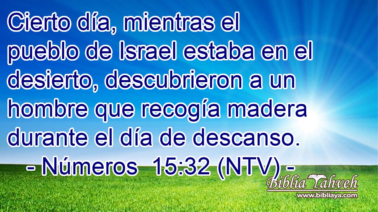 Cierto día, mientras el pueblo de Israel estaba en el desierto, descubrieron a un hombre que recogía madera durante el día de descanso.