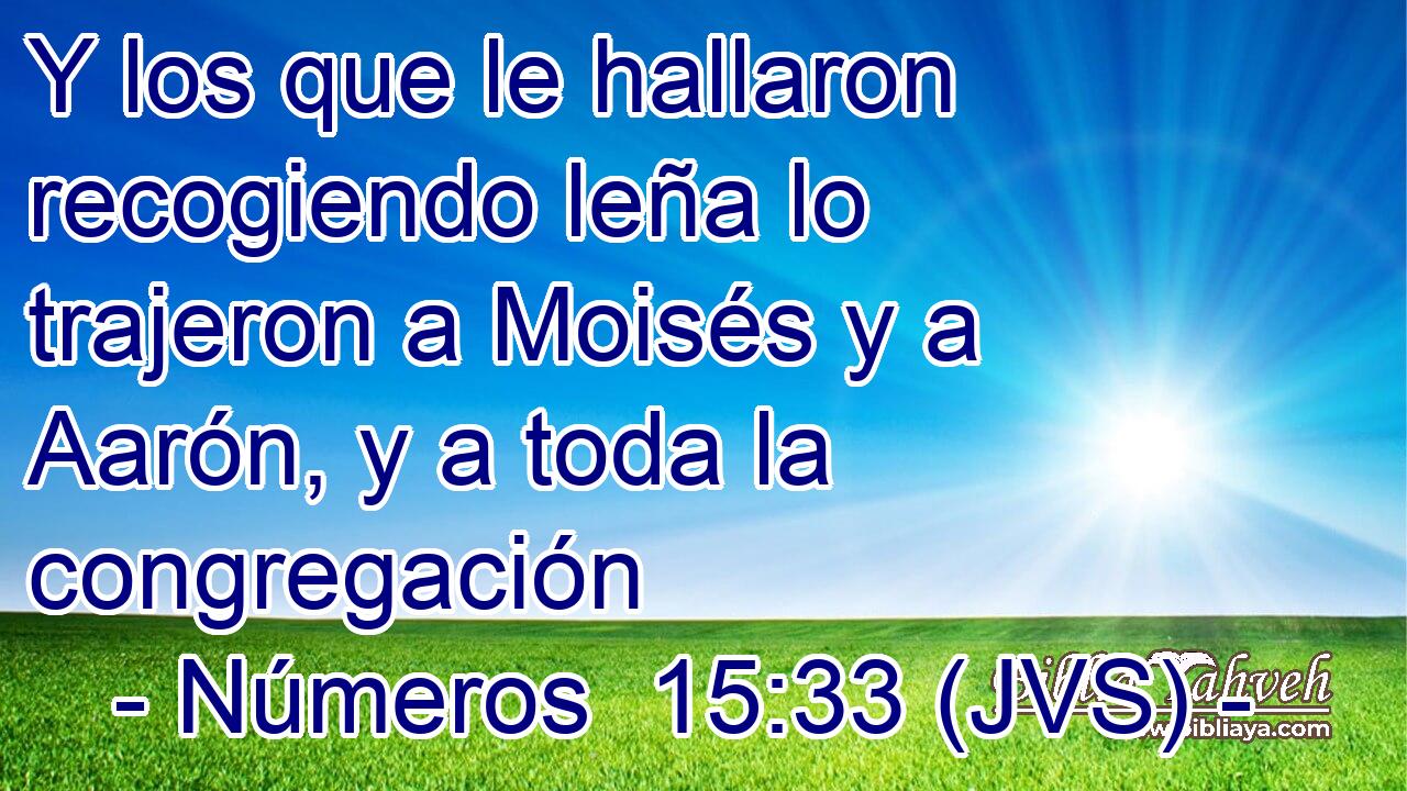 Y los que le hallaron recogiendo leña lo trajeron a Moisés y a Aarón, y a toda la congregación
