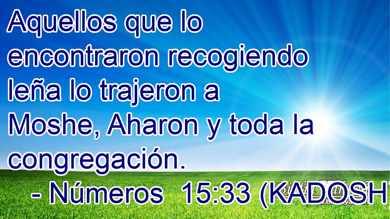  Aquellos que lo encontraron recogiendo leña lo trajeron a Moshe, Aharon y toda la congregación. 