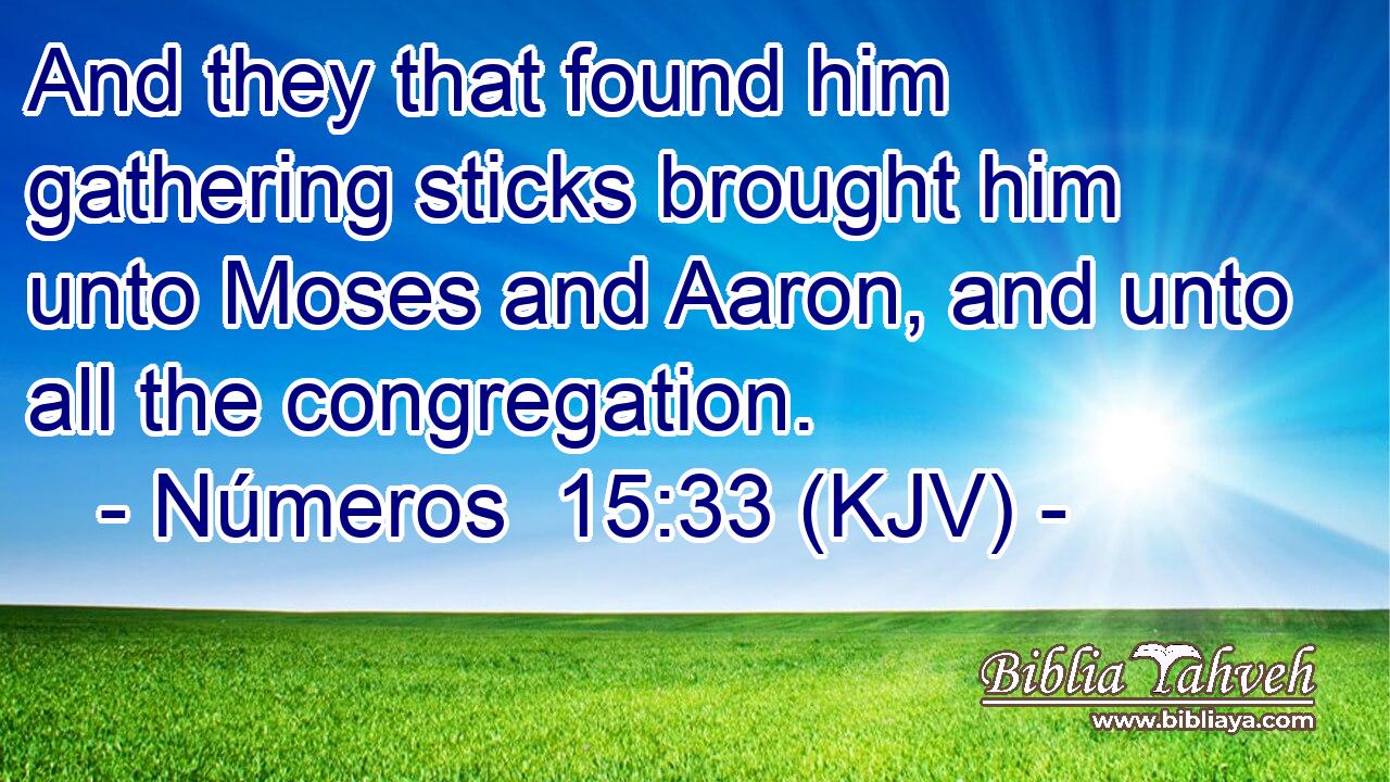 And they that found him gathering sticks brought him unto Moses and Aaron, and unto all the congregation.
