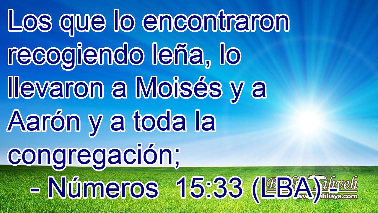 Los que lo encontraron recogiendo leña, lo llevaron a Moisés y a Aarón y a toda la congregación;
