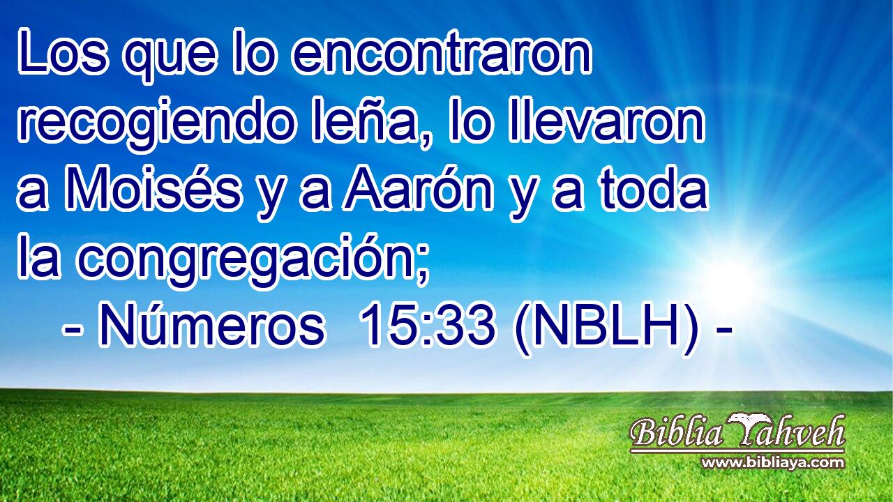  Los que lo encontraron recogiendo leña, lo llevaron a Moisés y a Aarón y a toda la congregación; 