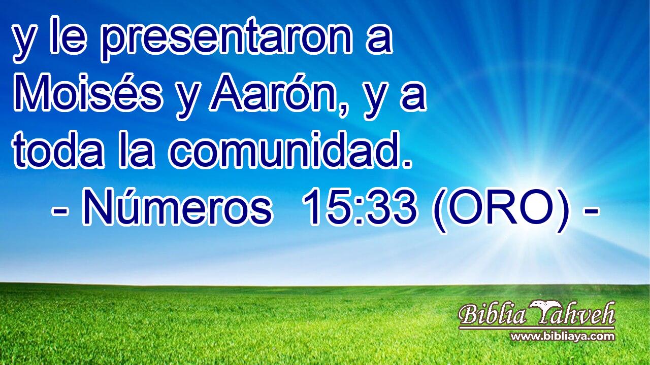  y le presentaron a Moisés y Aarón, y a toda la comunidad. 