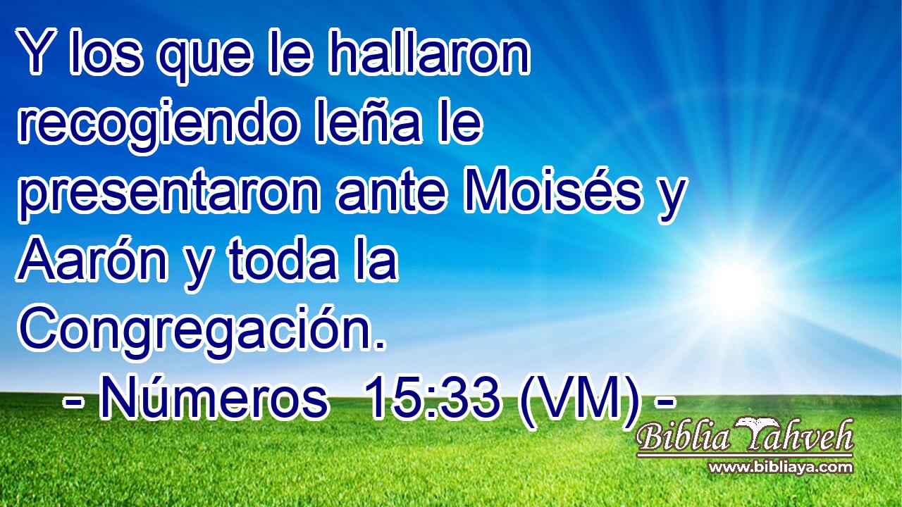  Y los que le hallaron recogiendo leña le presentaron ante Moisés y Aarón y toda la Congregación. 