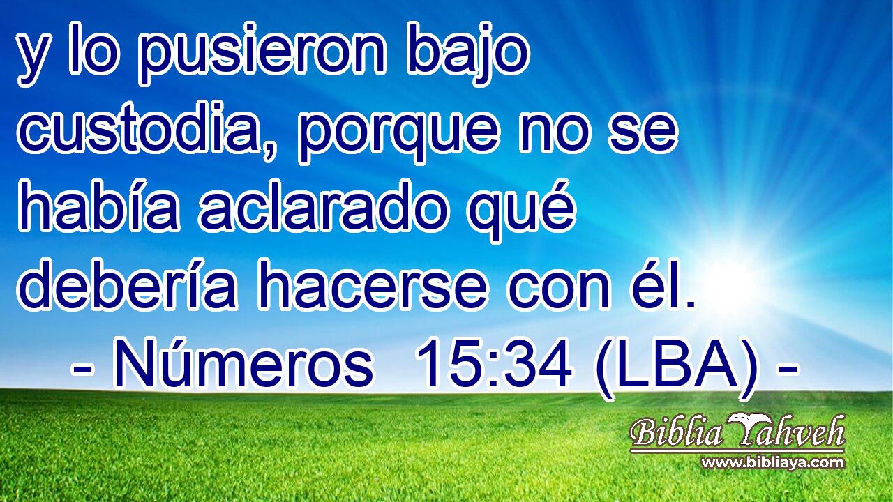 y lo pusieron bajo custodia, porque no se había aclarado qué debería hacerse con él.