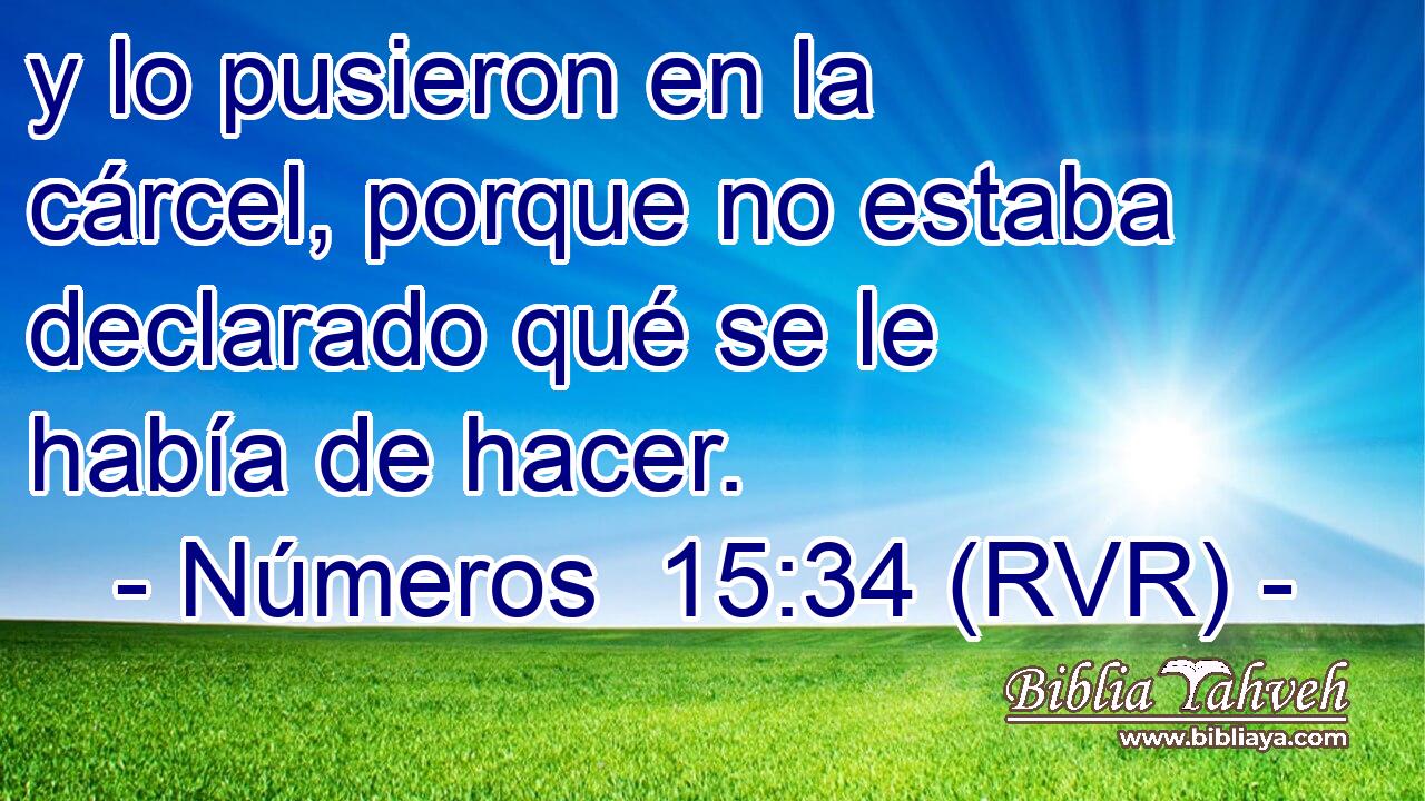 y lo pusieron en la cárcel, porque no estaba declarado qué se le había de hacer.