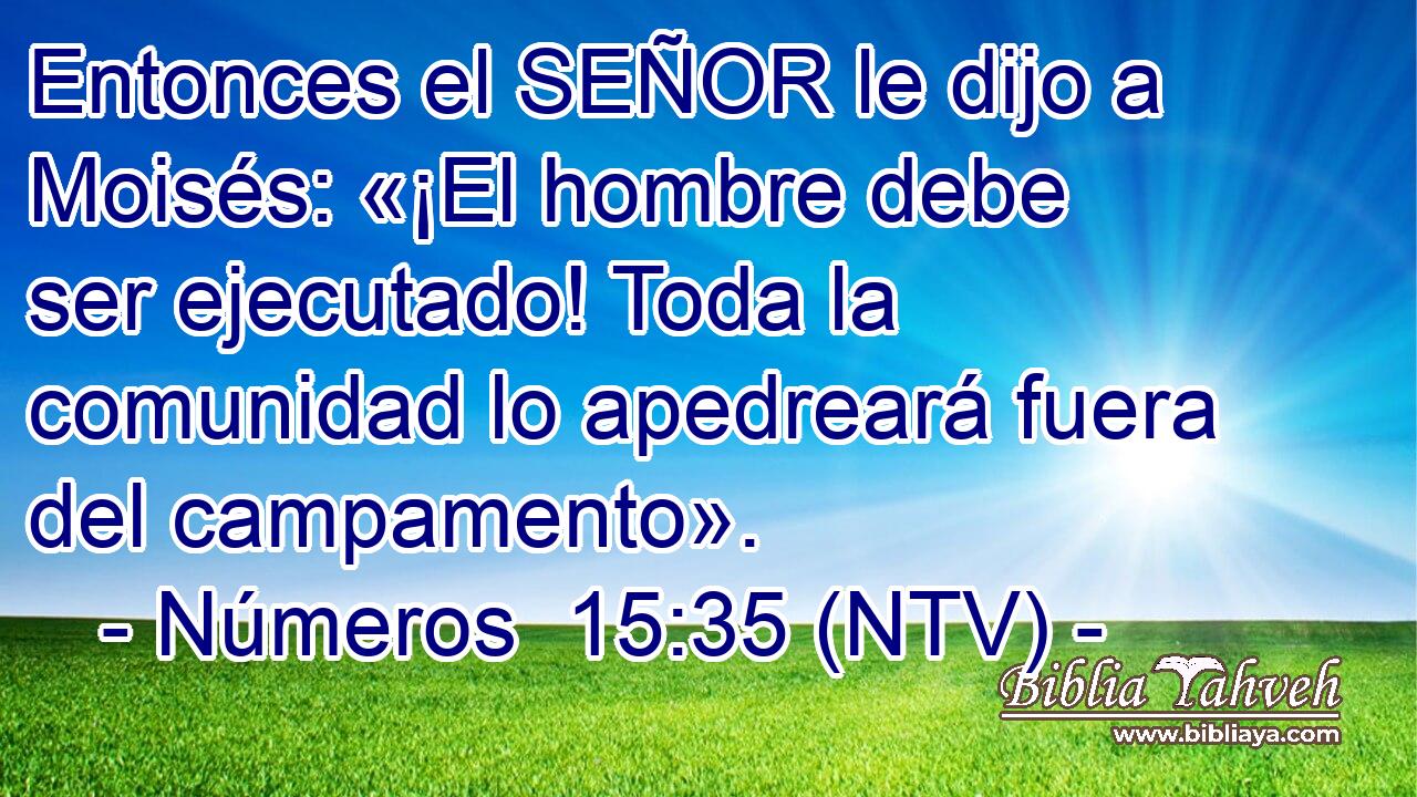 Entonces el SEÑOR le dijo a Moisés: «¡El hombre debe ser ejecutado! Toda la comunidad lo apedreará fuera del campamento».