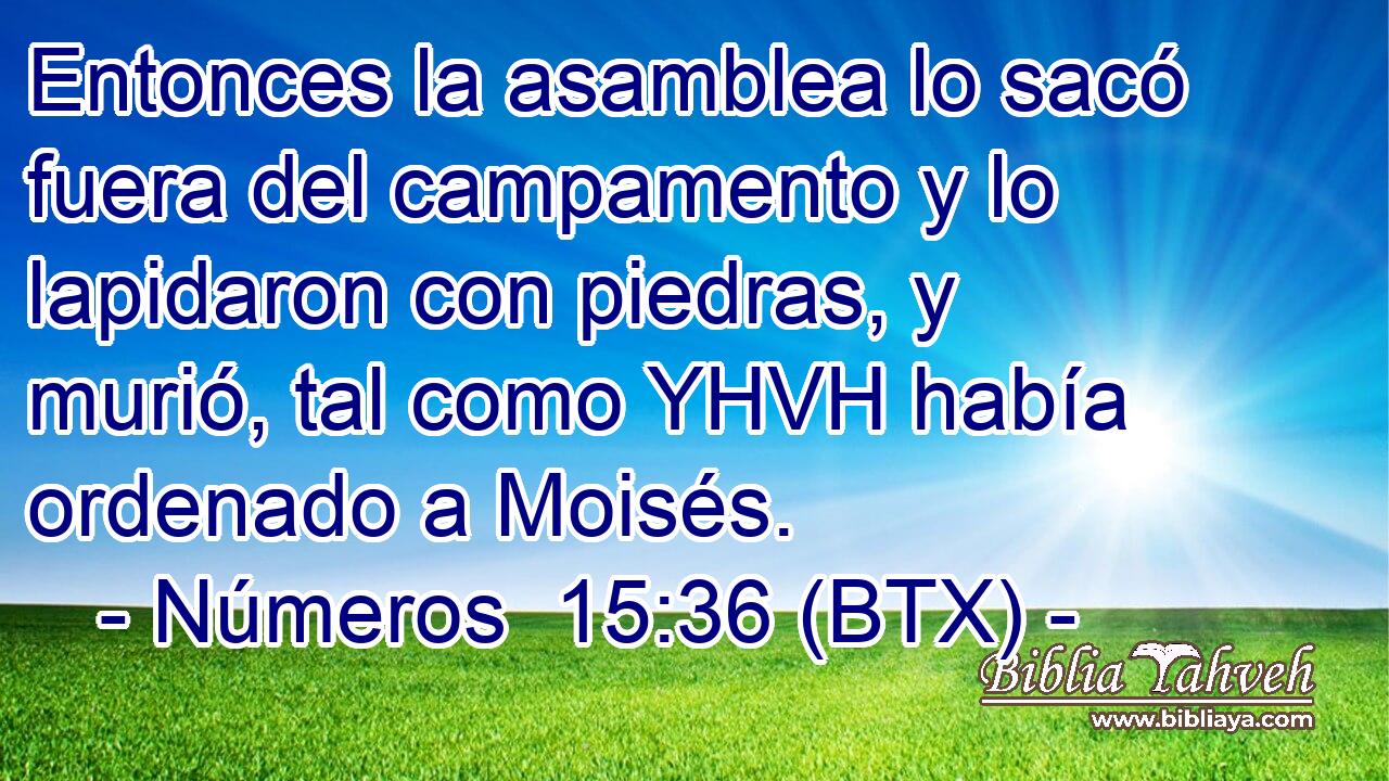 Entonces la asamblea lo sacó fuera del campamento y lo lapidaron con piedras, y murió, tal como YHVH había ordenado a Moisés.