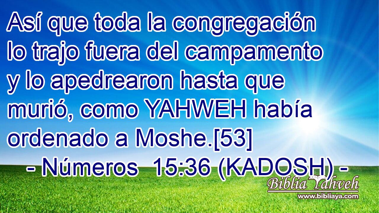  Así que toda la congregación lo trajo fuera del campamento y lo apedrearon hasta que murió, como YAHWEH había ordenado a Moshe.[53] 