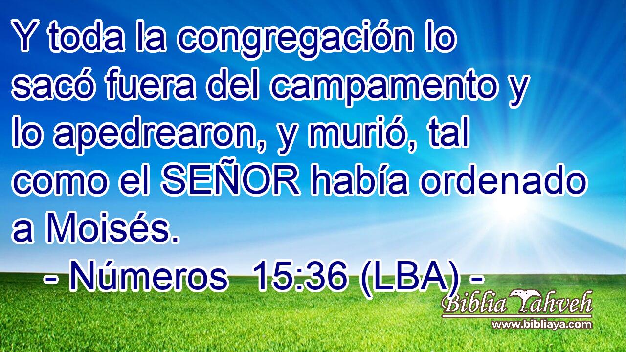 Y toda la congregación lo sacó fuera del campamento y lo apedrearon, y murió, tal como el SEÑOR había ordenado a Moisés.