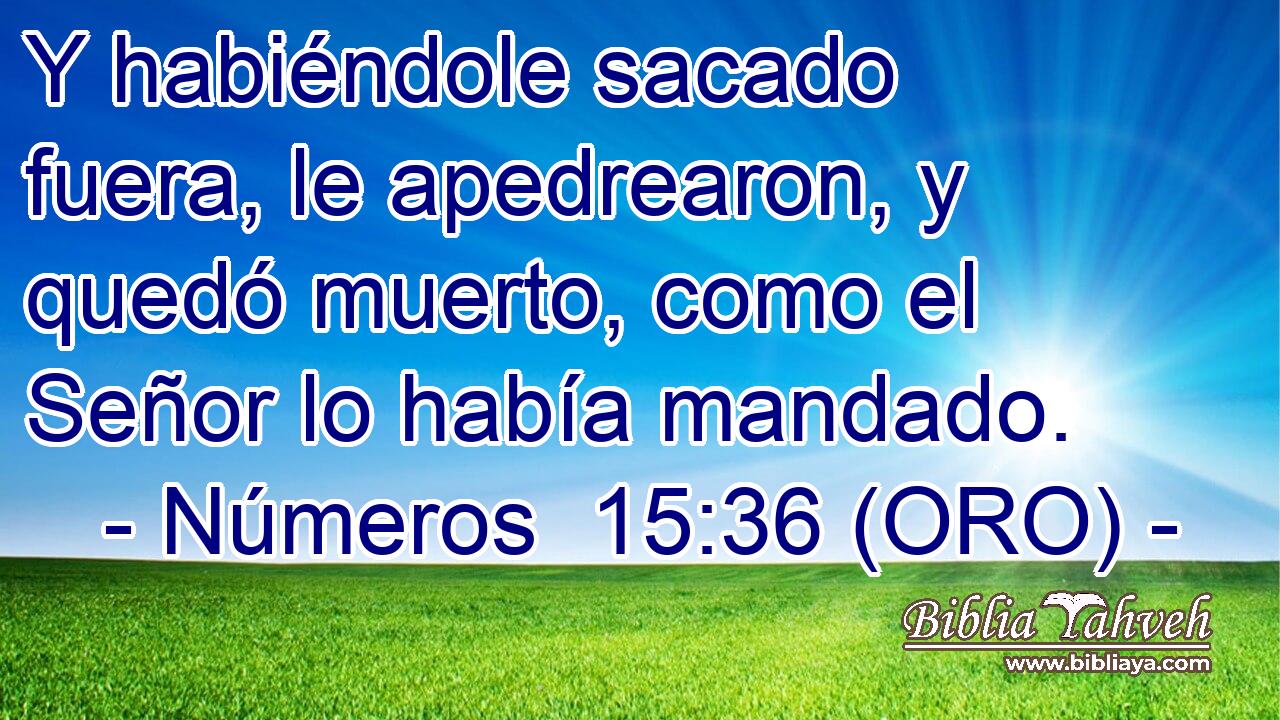  Y habiéndole sacado fuera, le apedrearon, y quedó muerto, como el Señor lo había mandado. 