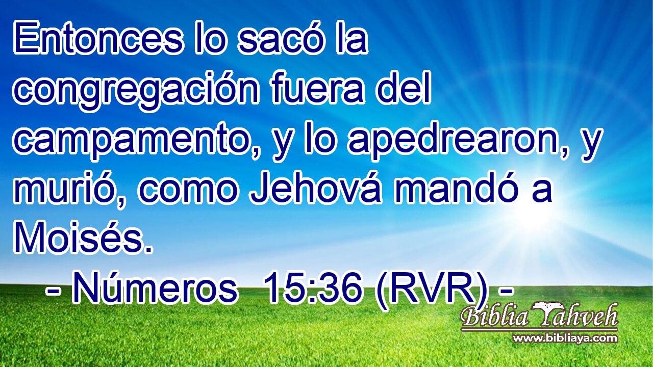 Entonces lo sacó la congregación fuera del campamento, y lo apedrearon, y murió, como Jehová mandó a Moisés.