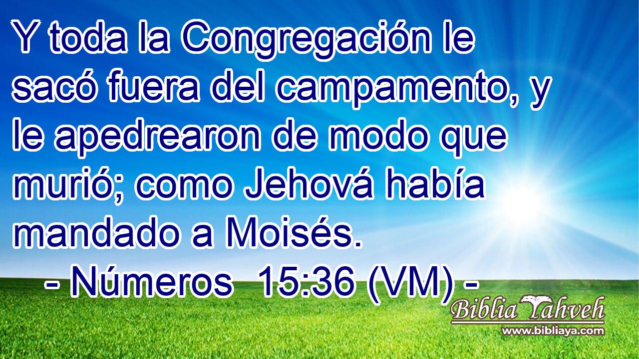 Y toda la Congregación le sacó fuera del campamento, y le apedrearon de modo que murió; como Jehová había mandado a Moisés. 