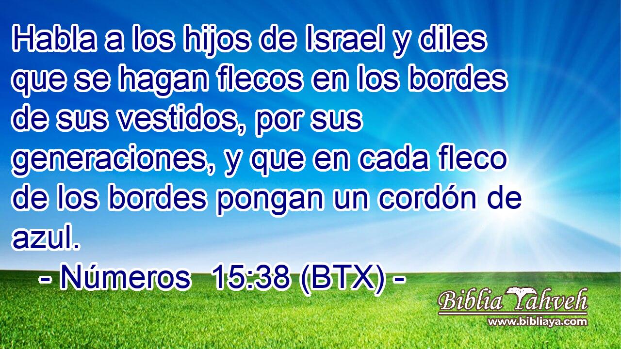 Habla a los hijos de Israel y diles que se hagan flecos en los bordes de sus vestidos, por sus generaciones, y que en cada fleco de los bordes pongan un cordón de azul.