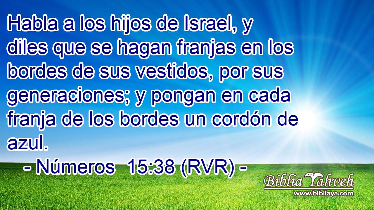 Habla a los hijos de Israel, y diles que se hagan franjas en los bordes de sus vestidos, por sus generaciones; y pongan en cada franja de los bordes un cordón de azul.