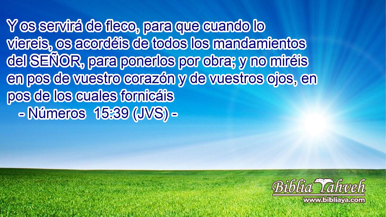 Y os servirá de fleco, para que cuando lo viereis, os acordéis de todos los mandamientos del SEÑOR, para ponerlos por obra; y no miréis en pos de vuestro corazón y de vuestros ojos, en pos de los cuales fornicáis