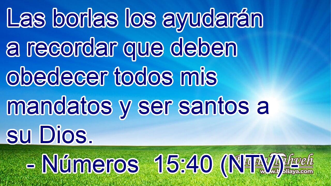 Las borlas los ayudarán a recordar que deben obedecer todos mis mandatos y ser santos a su Dios.