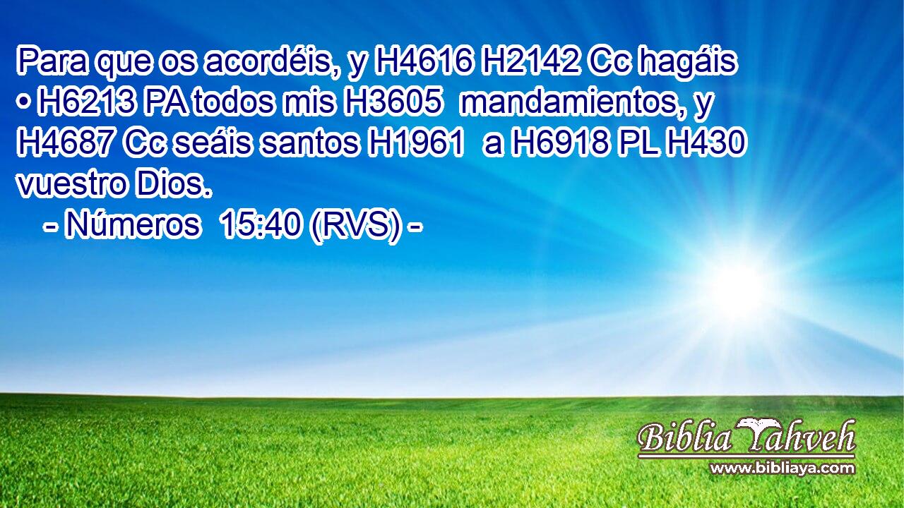 Para que os acordéis, y H4616 H2142 Cc hagáis • H6213 PA todos mis H3605  mandamientos, y H4687 Cc seáis santos H1961  a H6918 PL H430 vuestro Dios. 