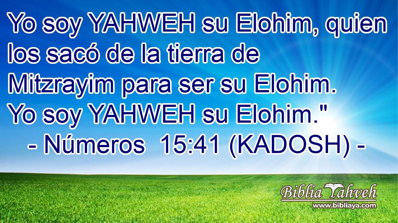  Yo soy YAHWEH su Elohim, quien los sacó de la tierra de Mitzrayim para ser su Elohim. Yo soy YAHWEH su Elohim.
