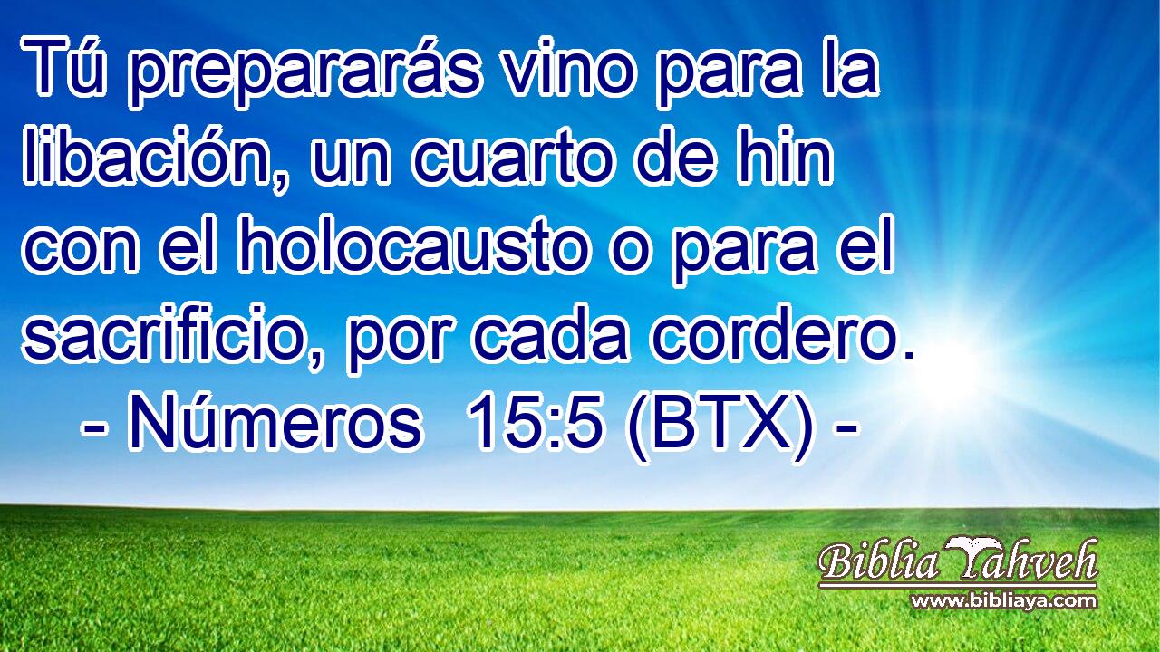 Tú prepararás vino para la libación, un cuarto de hin con el holocausto o para el sacrificio, por cada cordero.