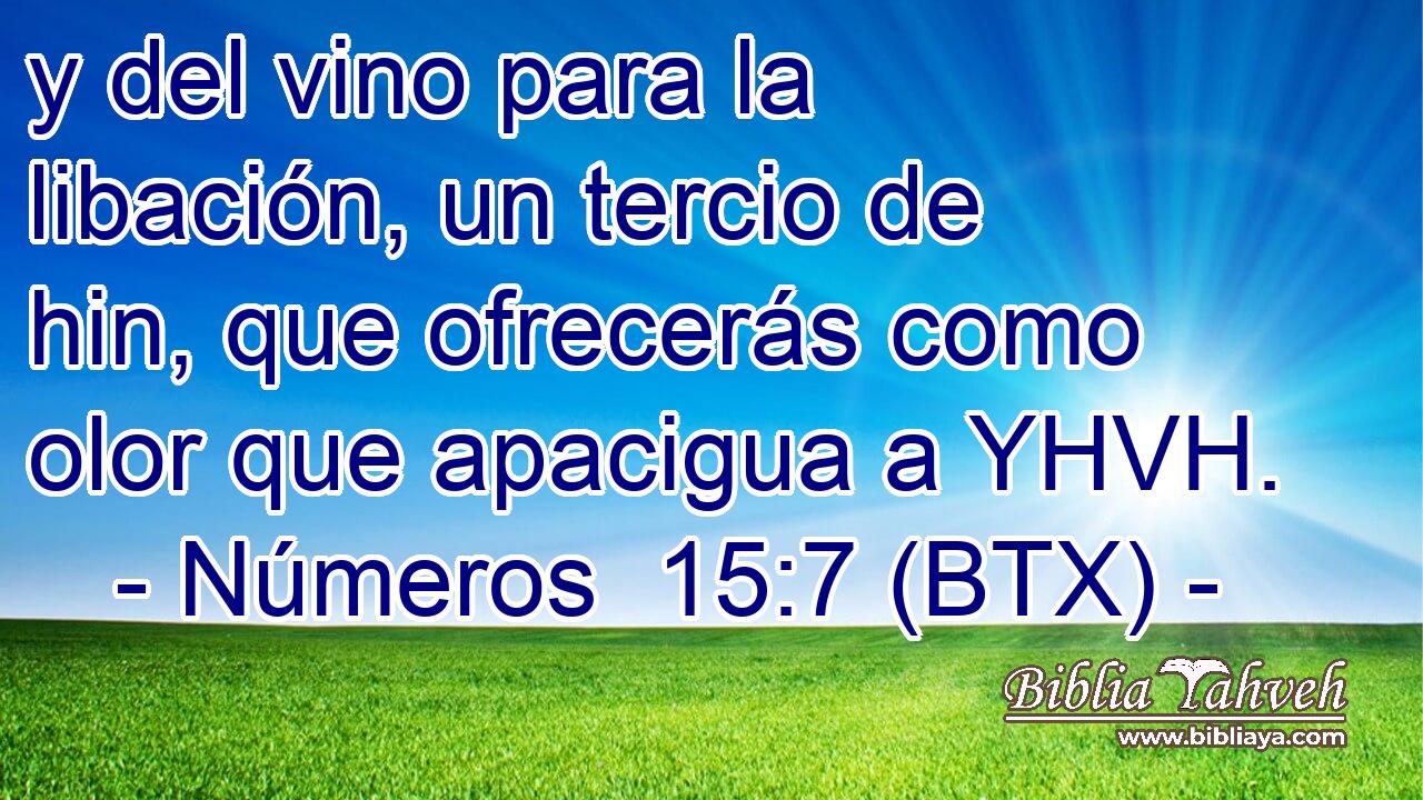 y del vino para la libación, un tercio de hin, que ofrecerás como olor que apacigua a YHVH.