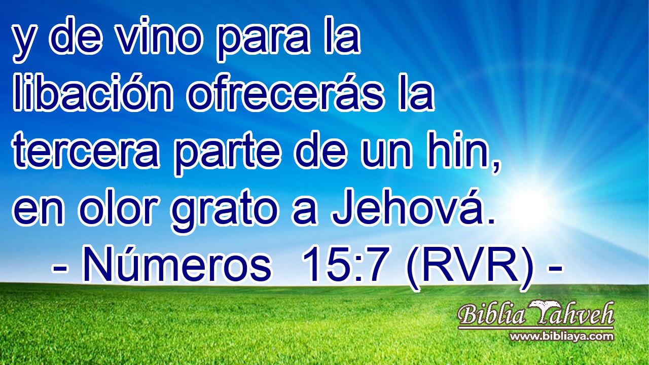 y de vino para la libación ofrecerás la tercera parte de un hin, en olor grato a Jehová.