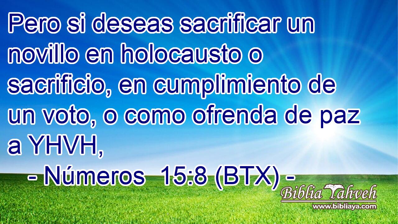 Pero si deseas sacrificar un novillo en holocausto o sacrificio, en cumplimiento de un voto, o como ofrenda de paz a YHVH,