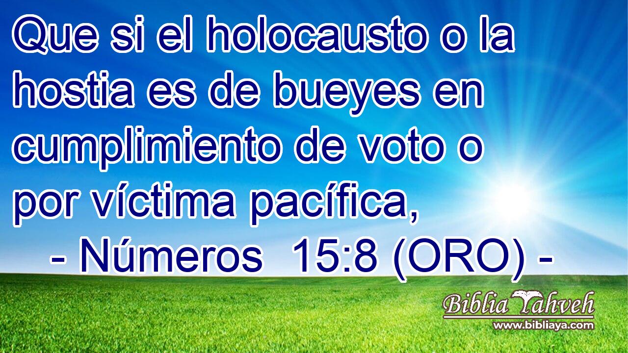  Que si el holocausto o la hostia es de bueyes en cumplimiento de voto o por víctima pacífica, 