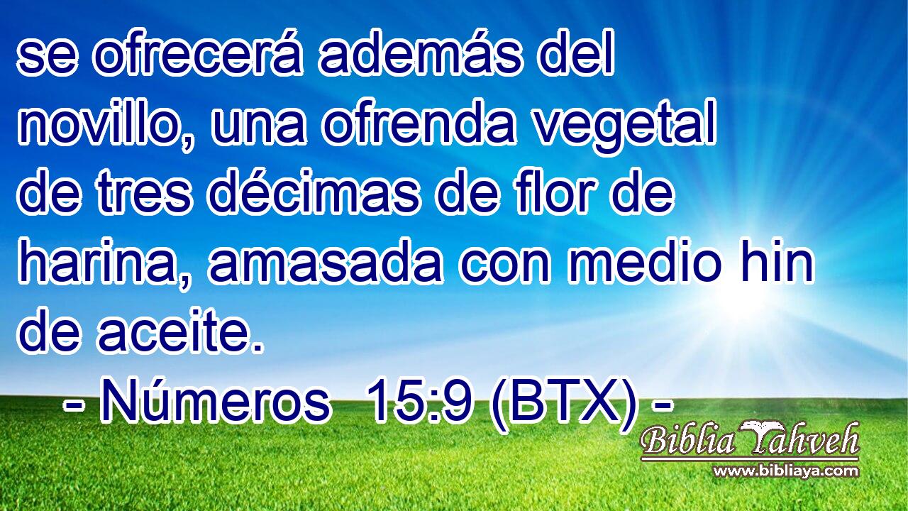 se ofrecerá además del novillo, una ofrenda vegetal de tres décimas de flor de harina, amasada con medio hin de aceite.