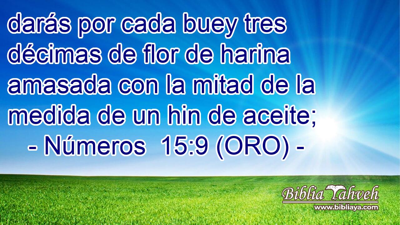  darás por cada buey tres décimas de flor de harina amasada con la mitad de la medida de un hin de aceite; 