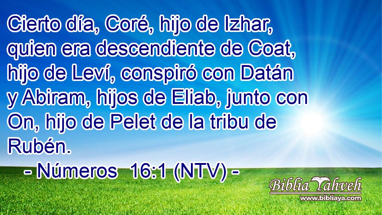 Cierto día, Coré, hijo de Izhar, quien era descendiente de Coat, hijo de Leví, conspiró con Datán y Abiram, hijos de Eliab, junto con On, hijo de Pelet de la tribu de Rubén.