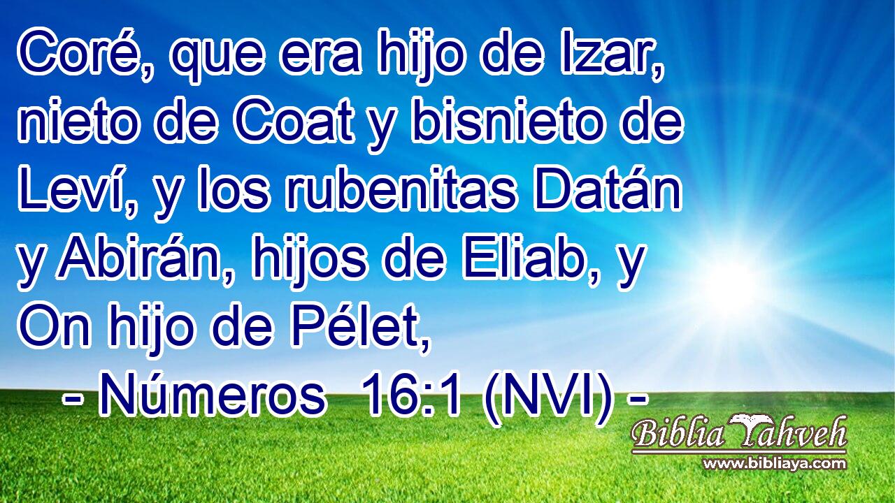  Coré, que era hijo de Izar, nieto de Coat y bisnieto de Leví, y los rubenitas Datán y Abirán, hijos de Eliab, y On hijo de Pélet, 