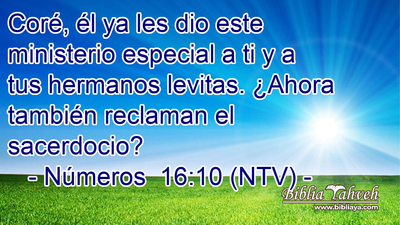 Coré, él ya les dio este ministerio especial a ti y a tus hermanos levitas. ¿Ahora también reclaman el sacerdocio?