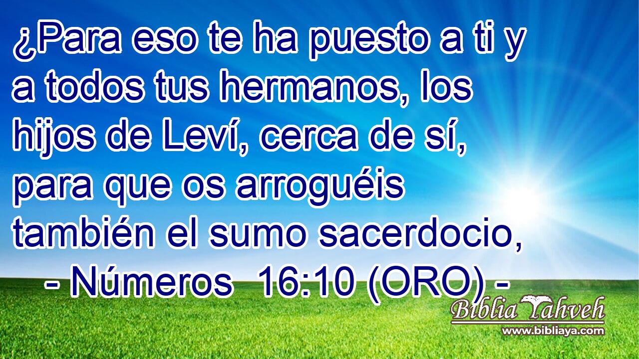  ¿Para eso te ha puesto a ti y a todos tus hermanos, los hijos de Leví, cerca de sí, para que os arroguéis también el sumo sacerdocio, 
