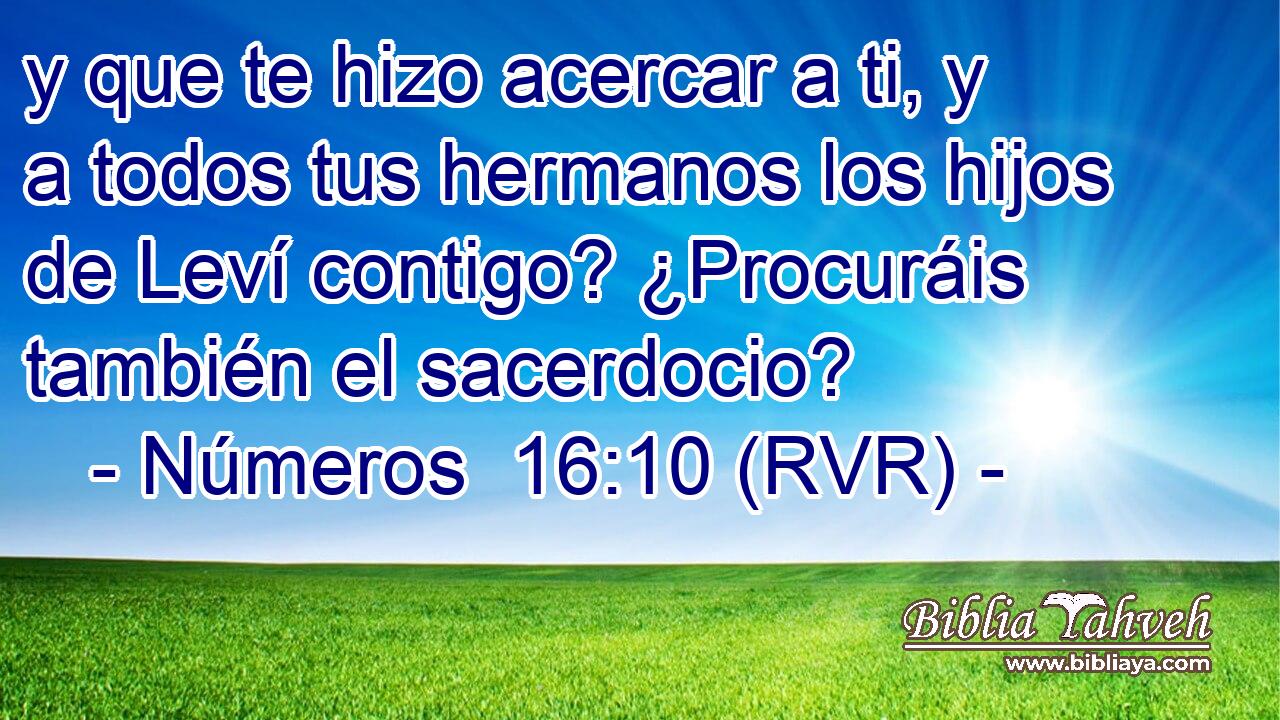 y que te hizo acercar a ti, y a todos tus hermanos los hijos de Leví contigo? ¿Procuráis también el sacerdocio?
